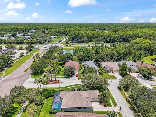 3025 Naughton Way, Tarpon Springs, FL 34688 - photo 77