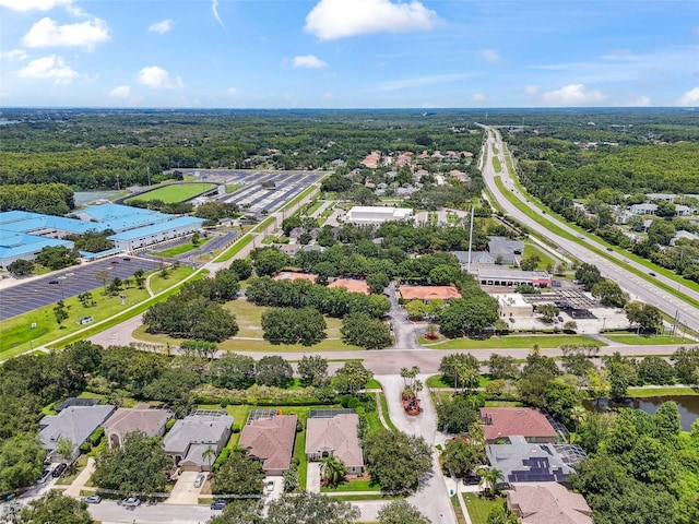 3025 Naughton Way, Tarpon Springs, FL 34688 - photo 78