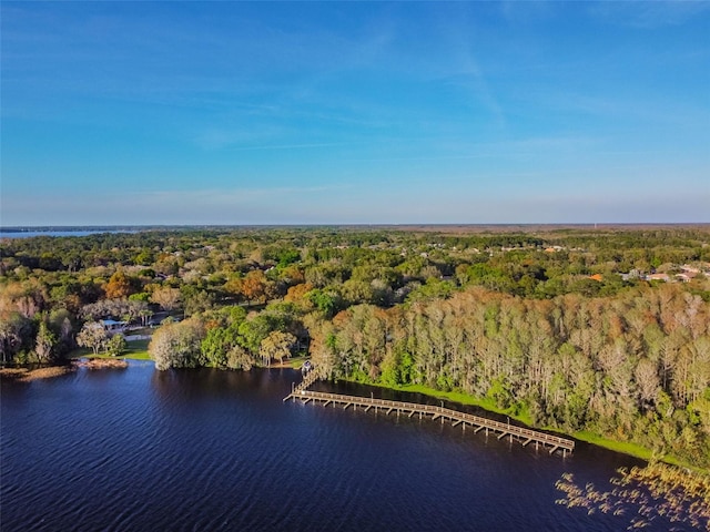 3025 Naughton Way, Tarpon Springs, FL 34688 - photo 82