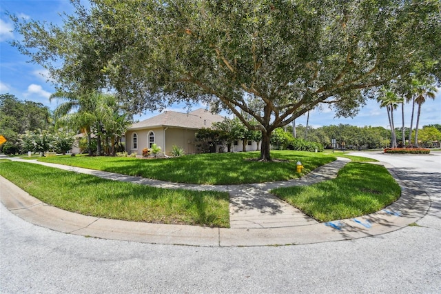 3025 Naughton Way, Tarpon Springs, FL 34688 - photo 8
