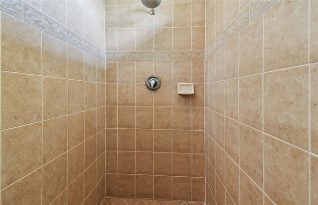 3025 Naughton Way, Tarpon Springs, FL 34688 - photo 54