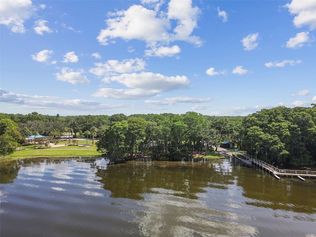 3025 Naughton Way, Tarpon Springs, FL 34688 - photo 91