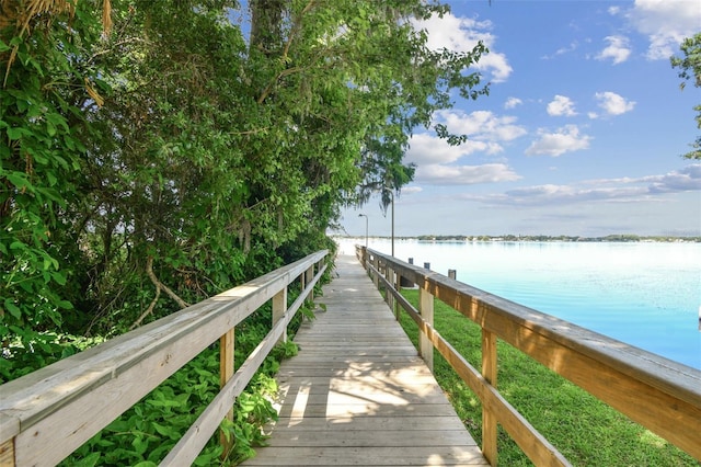 3025 Naughton Way, Tarpon Springs, FL 34688 - photo 92