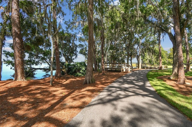 3025 Naughton Way, Tarpon Springs, FL 34688 - photo 93