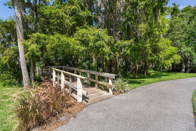 3025 Naughton Way, Tarpon Springs, FL 34688 - photo 94