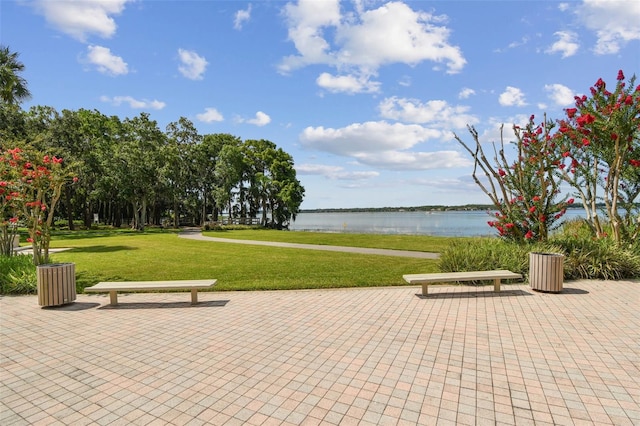3025 Naughton Way, Tarpon Springs, FL 34688 - photo 95