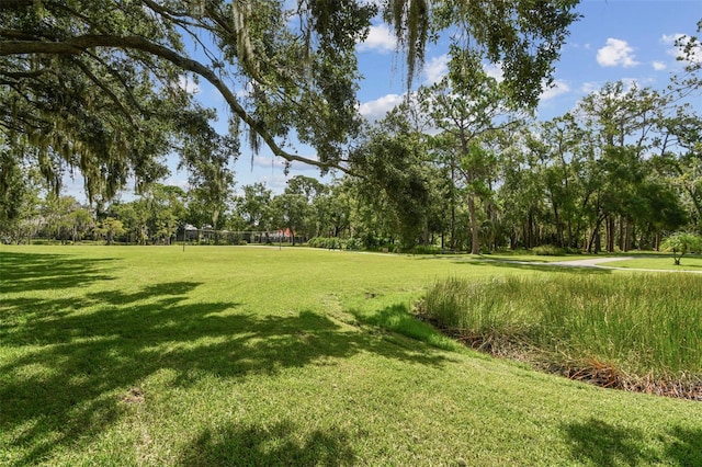 3025 Naughton Way, Tarpon Springs, FL 34688 - photo 97