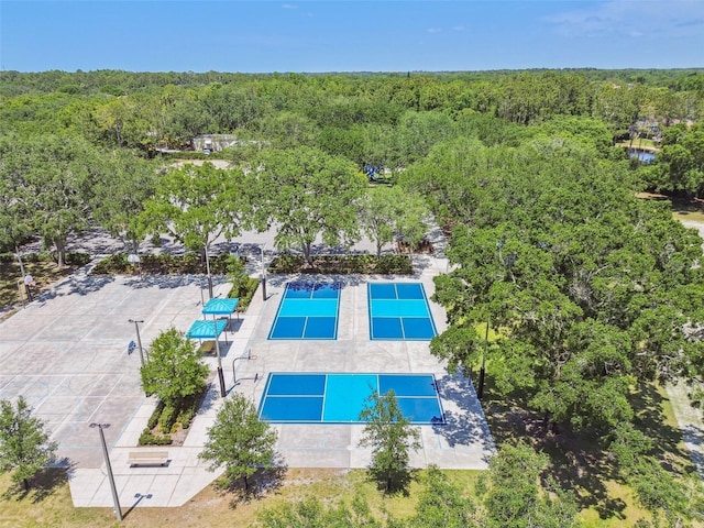 3025 Naughton Way, Tarpon Springs, FL 34688 - photo 98