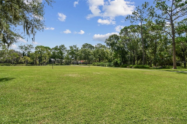 3025 Naughton Way, Tarpon Springs, FL 34688 - photo 99