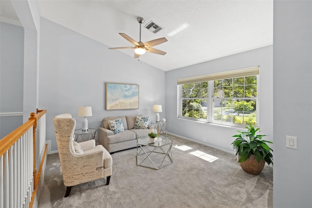 1017 Woodcrest Ave, Safety Harbor, FL 34695 - photo 11