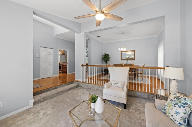 1017 Woodcrest Ave, Safety Harbor, FL 34695 - photo 12