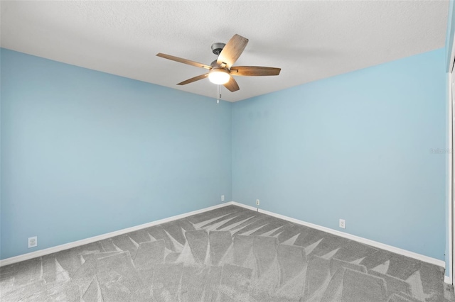 1017 Woodcrest Ave, Safety Harbor, FL 34695 - photo 18