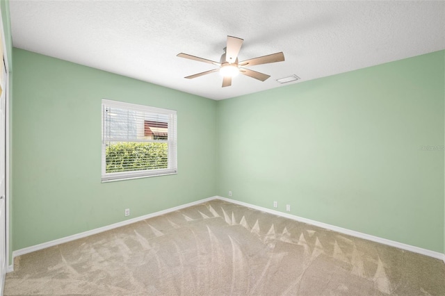 1017 Woodcrest Ave, Safety Harbor, FL 34695 - photo 19