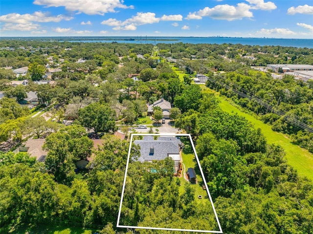 1017 Woodcrest Ave, Safety Harbor, FL 34695 - photo 34