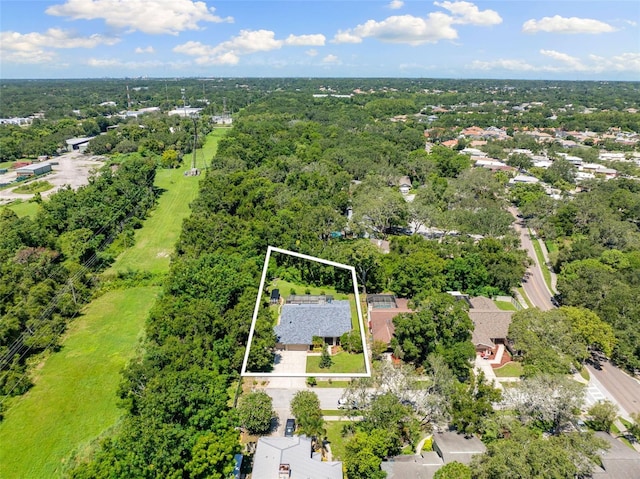 1017 Woodcrest Ave, Safety Harbor, FL 34695 - photo 35