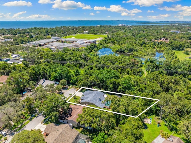 1017 Woodcrest Ave, Safety Harbor, FL 34695 - photo 36