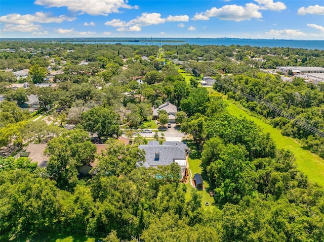 1017 Woodcrest Ave, Safety Harbor, FL 34695 - photo 37
