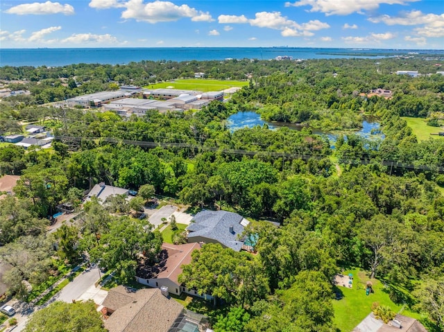 1017 Woodcrest Ave, Safety Harbor, FL 34695 - photo 38