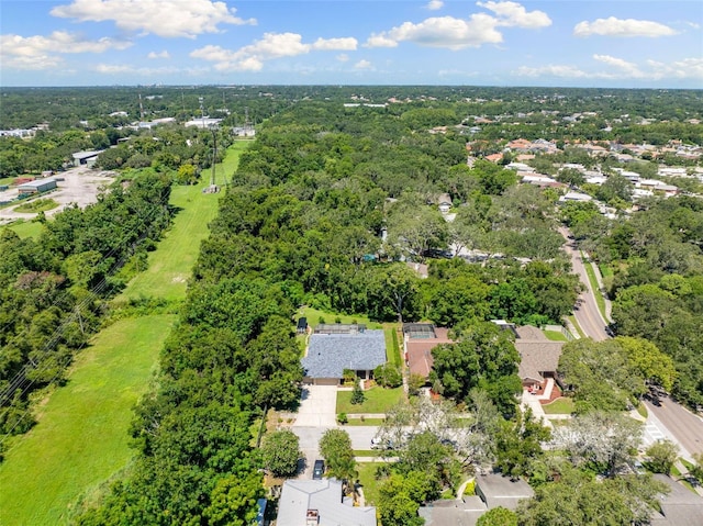 1017 Woodcrest Ave, Safety Harbor, FL 34695 - photo 39