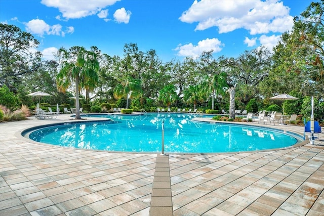 10827 High Noon Trl, Parrish, FL 34219 - community pool with a patio and view of scattered trees