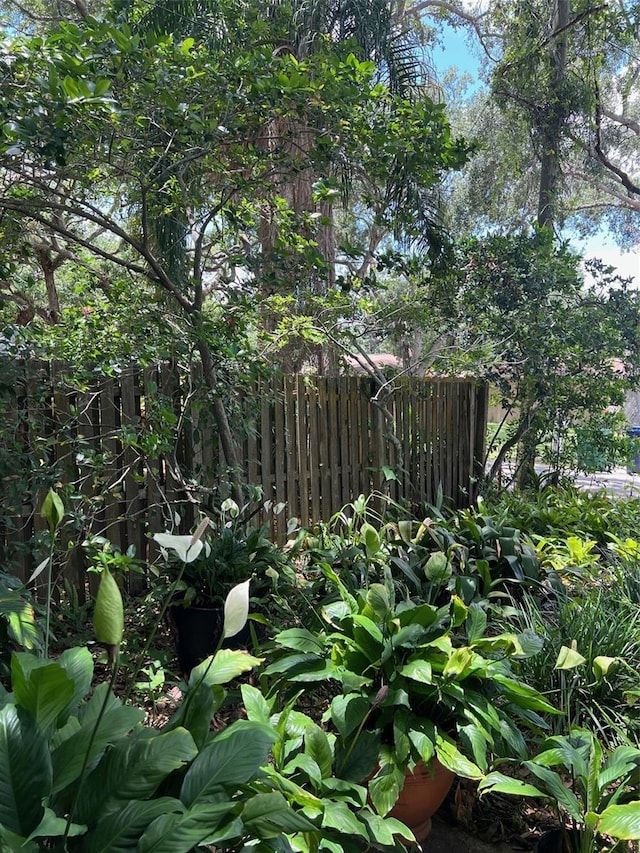 4418 W Melrose Ave, Tampa, FL 33629 - view of yard