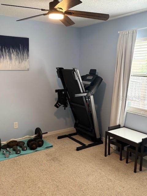 2527 Arborwood Dr, Valrico, FL 33596 - exercise area with a ceiling fan and light carpet