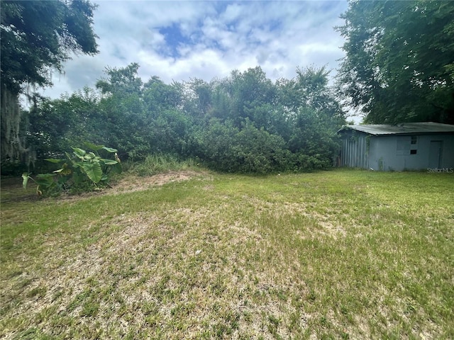 1225 Nemeth St, Auburndale, FL 33823 - view of green lawn