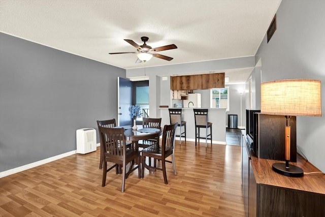 250 Cypress Ln, Oldsmar, FL 34677 - dining room featuring a ceiling fan, light wood-style flooring, plenty of natural light, and a textured ceiling