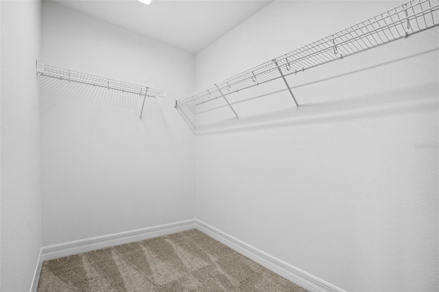 3330 Las Campos Pl, Tampa, FL 33611 - photo 5