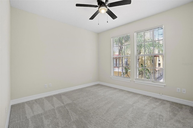 3330 Las Campos Pl, Tampa, FL 33611 - photo 19
