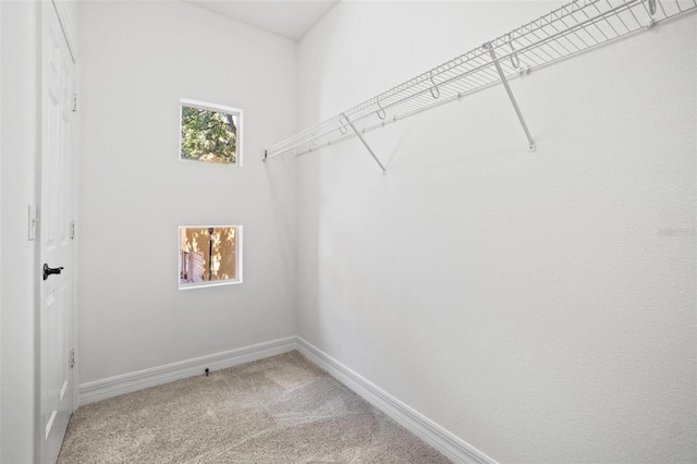 3330 Las Campos Pl, Tampa, FL 33611 - photo 21