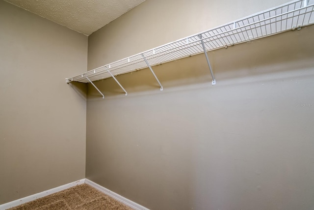 3011 S Schiller St, Tampa, FL 33629 - photo 27