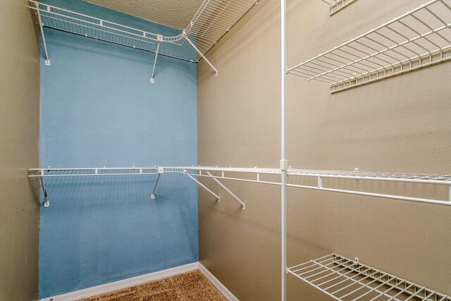 3011 S Schiller St, Tampa, FL 33629 - photo 32