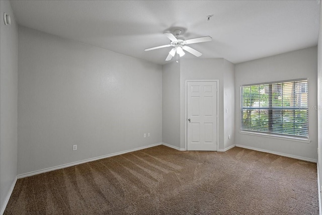 4333 Bayside Village Dr Unit 127, Tampa, FL 33615 - photo 17