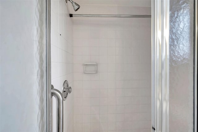 5245 Amulet Dr Unit 201, New Port Richey, FL 34652 - bathroom view of a stall shower
