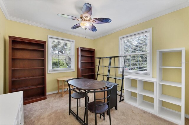 1229 S Roxmere Rd, Tampa, FL 33629 - photo 20