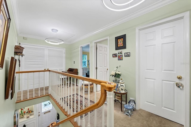 1229 S Roxmere Rd, Tampa, FL 33629 - photo 17