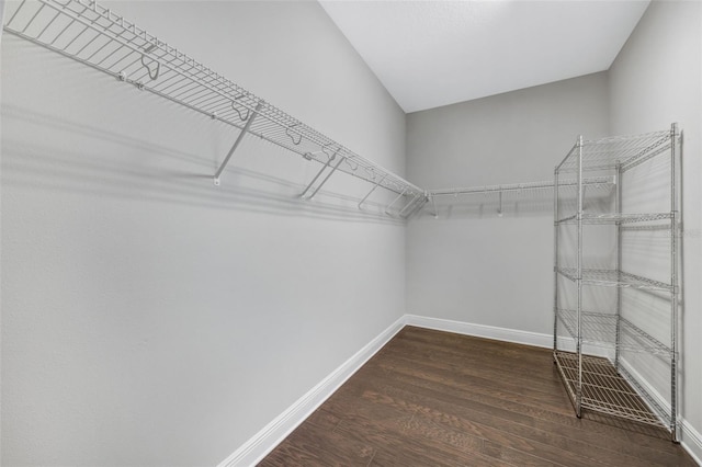 5434 Silver Sun Dr, Apollo Beach, FL 33572 - walk in closet featuring wood finished floors