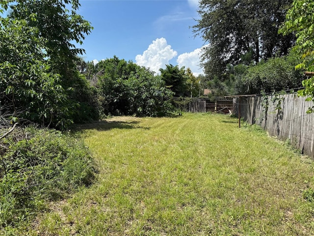 3207 W Pearl Ave, Tampa, FL 33611 - photo 4