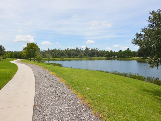 17652 Ramble On Way, Land O Lakes, FL 34638 - photo 44