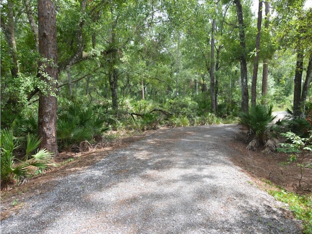 17652 Ramble On Way, Land O Lakes, FL 34638 - photo 45