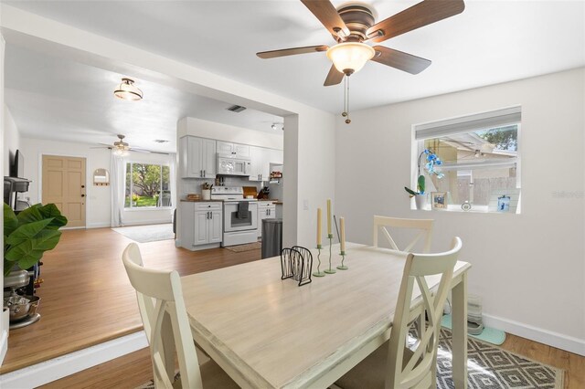 11431 72nd Ter, Seminole, FL 33772 - photo 15