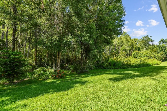 8320 Manor Club Cir Unit 2, Tampa, FL 33647 - photo 41