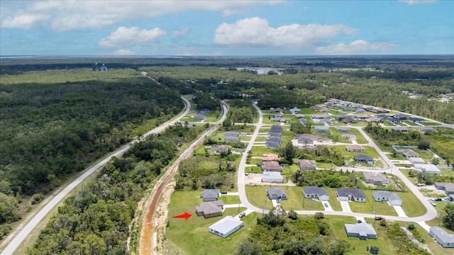 437 Mercedes Ct, Lehigh Acres, FL 33972 - view of property location featuring a heavily wooded area