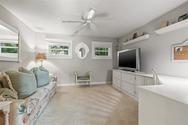 7127 3rd Ave N, Saint Petersburg, FL 33710 - photo 31