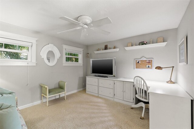 7127 3rd Ave N, Saint Petersburg, FL 33710 - photo 32