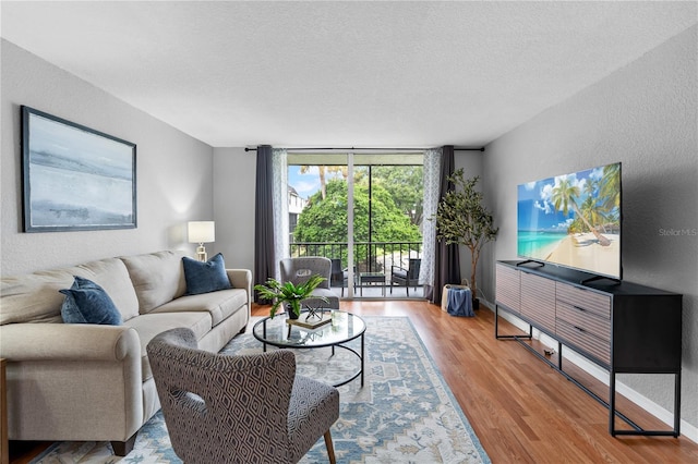 809 Russell Ln Unit 321, Brandon, FL 33510 - living area featuring wood finished floors, floor to ceiling windows, a textured ceiling, and a textured wall