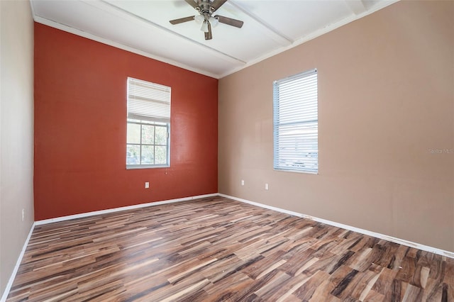 12349 Wasatch Ct, New Port Richey, FL 34654 - photo 14