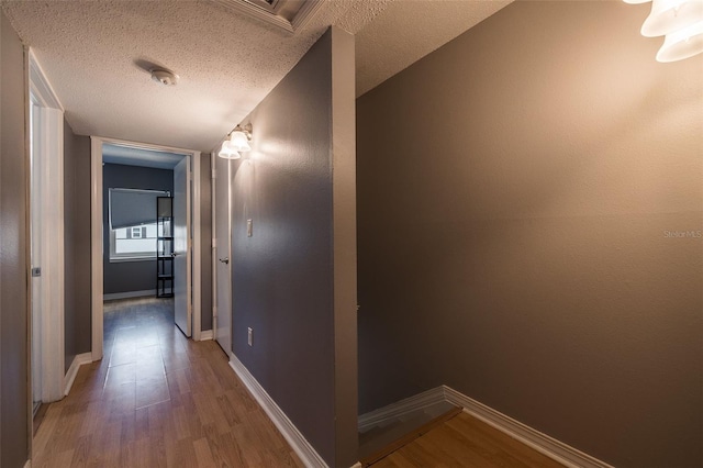 6979 Place De La Paix Unit 6979, Saint Petersburg, FL 33707 - photo 9