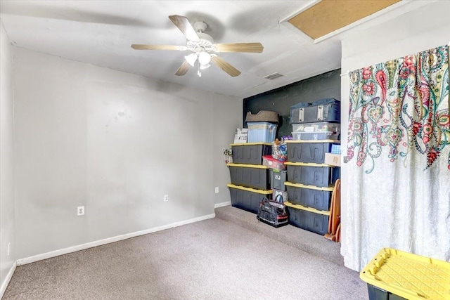 320 Pheasant Cir, Brandon, FL 33510 - storage with attic access and a ceiling fan